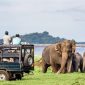 Udawalawa 85x85